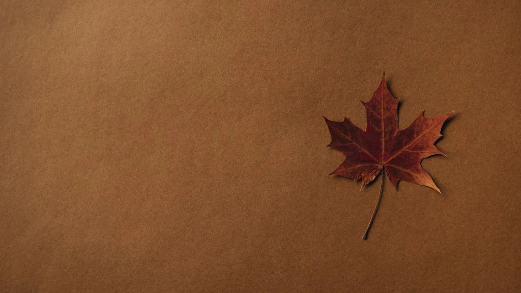 Kraft-paper notebook with a hand-drawn climate-tech logo sketch and a printed website mockup.